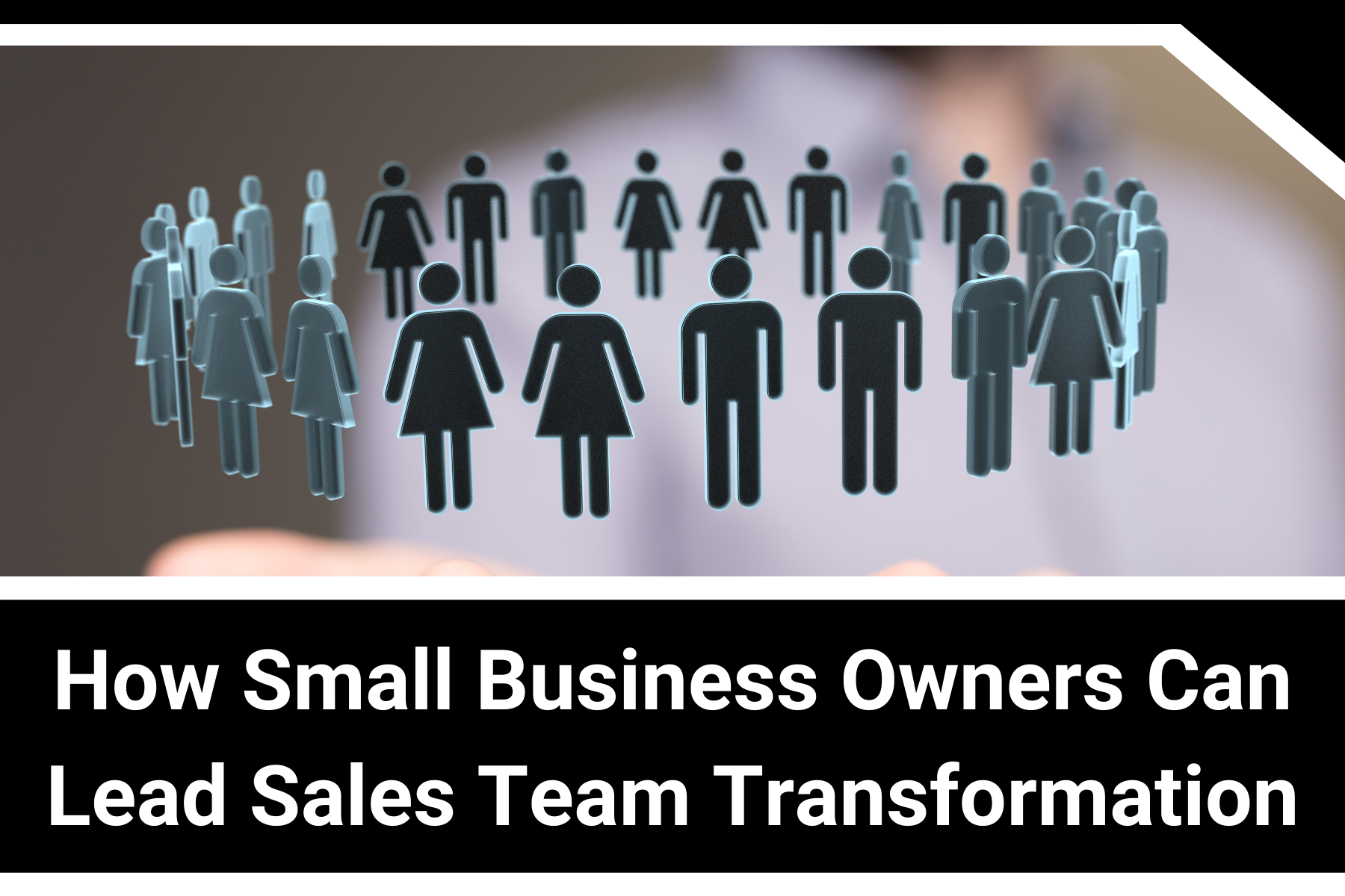 How Small Business Owners Can Lead Sales Team Transformation