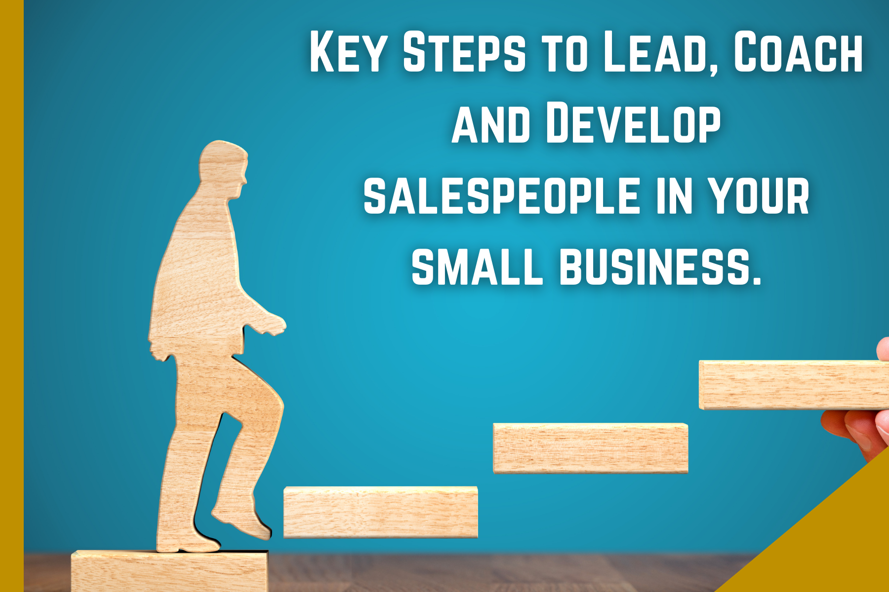 Key Steps to Lead, Coach and Develop salespeople in your small business